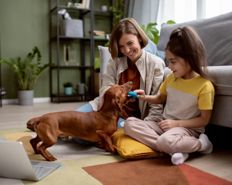 automatic pet feeder with camera